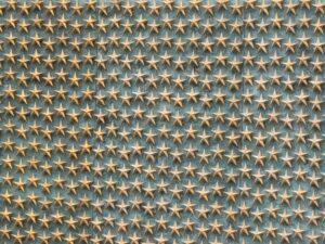 featured-331-300x225.jpg