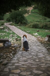 featured-452-200x300.jpg