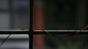 featured-54-300x169.jpg